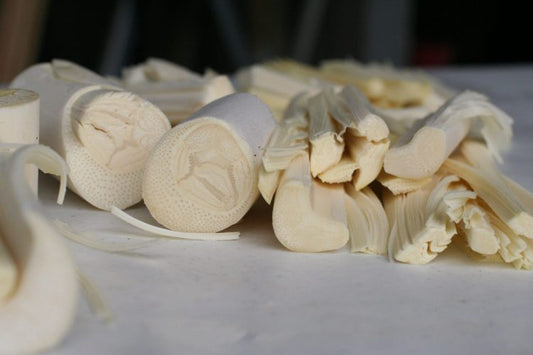 Fresh Heart of Palm - Free Shipping -