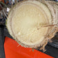 Fresh Heart of Palm - Free Shipping -