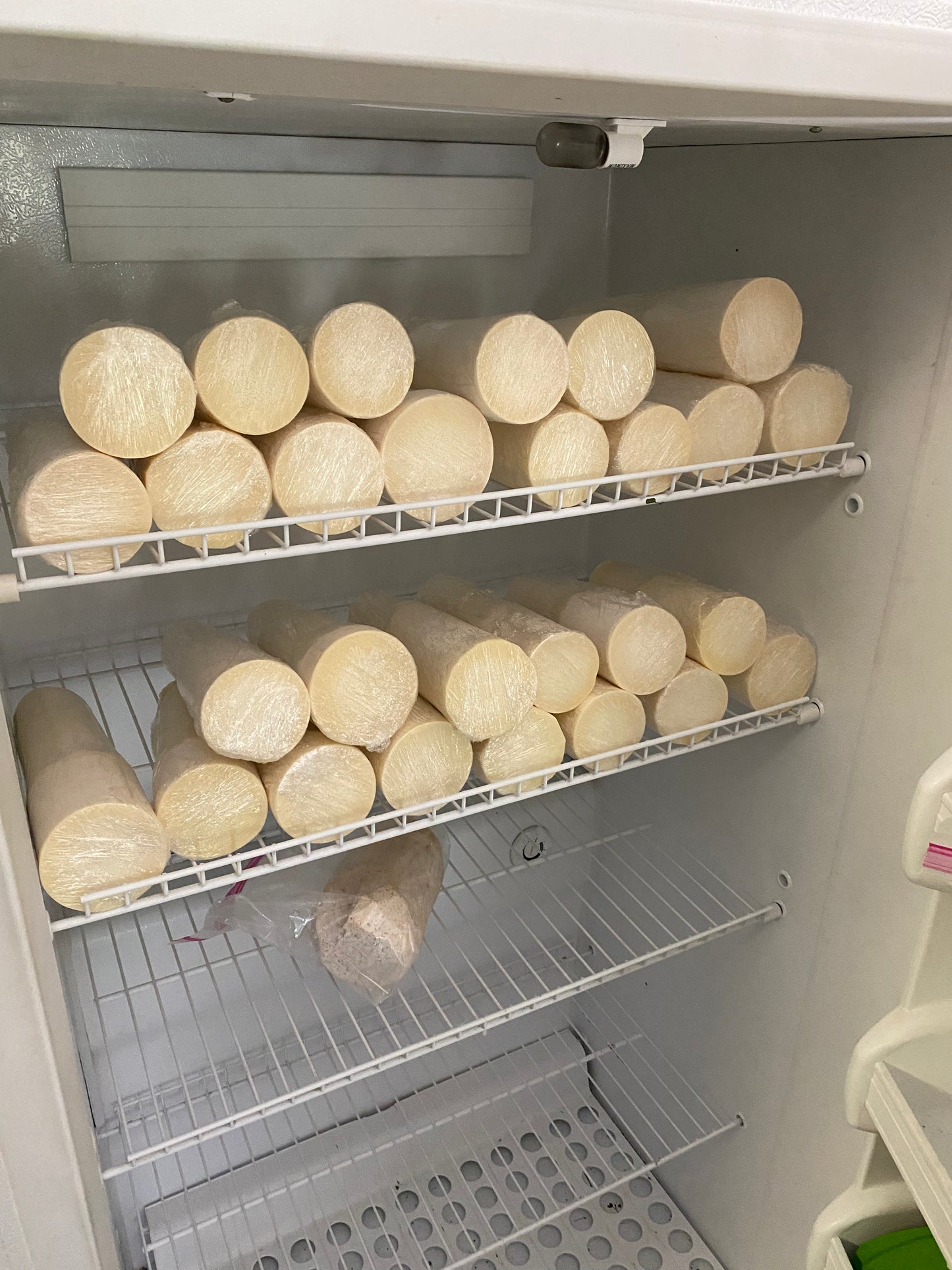 Fresh Heart of Palm - Free Shipping -