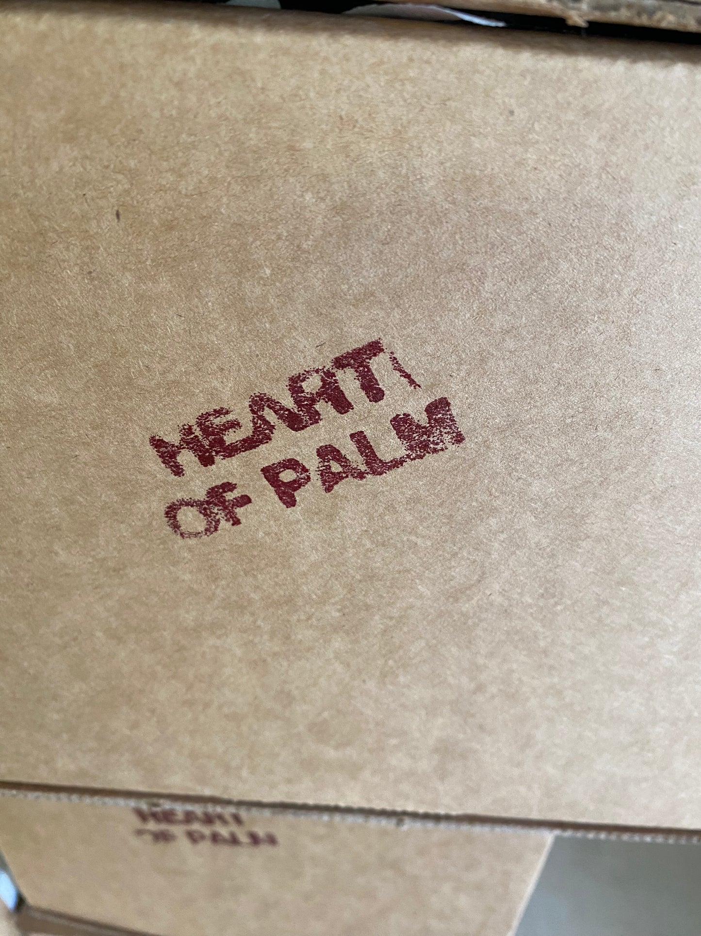 Fresh Heart of Palm - Free Shipping -