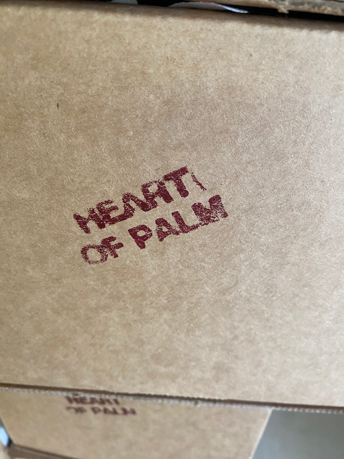 Fresh Heart of Palm