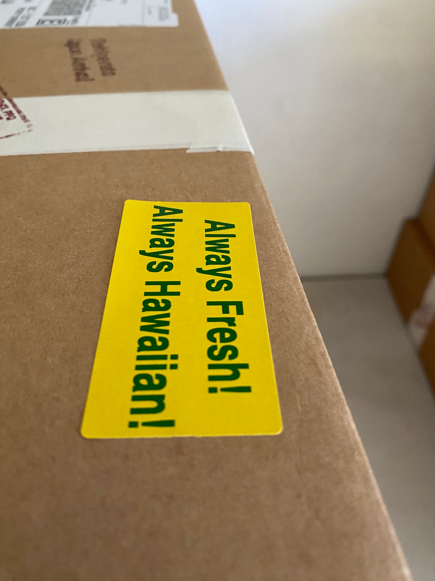 Fresh Heart of Palm - Free Shipping -
