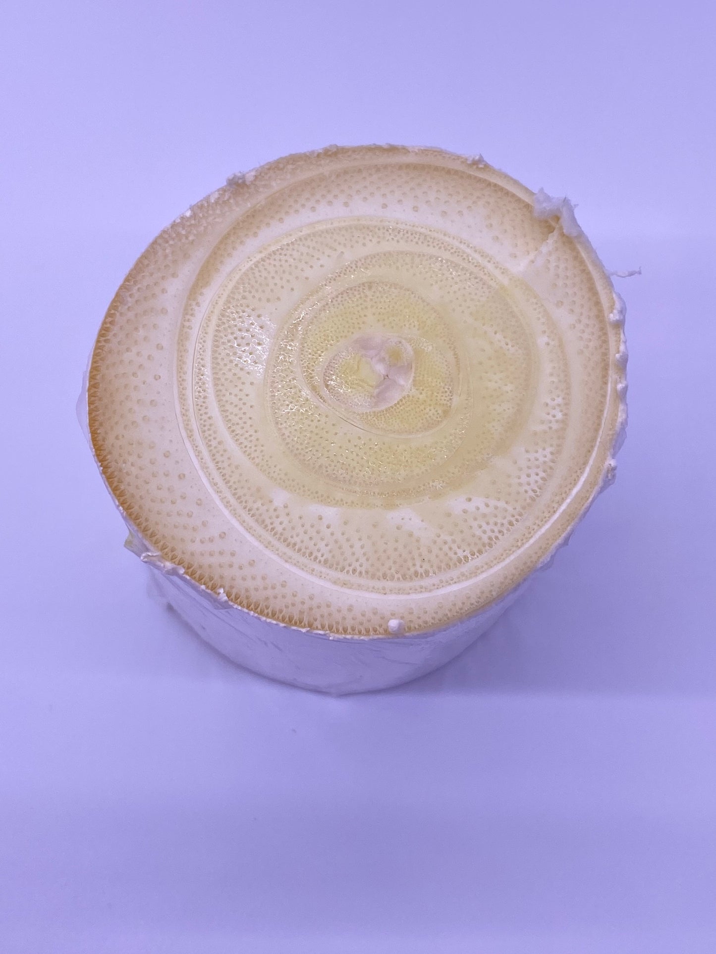 Fresh Heart of Palm - Free Shipping -